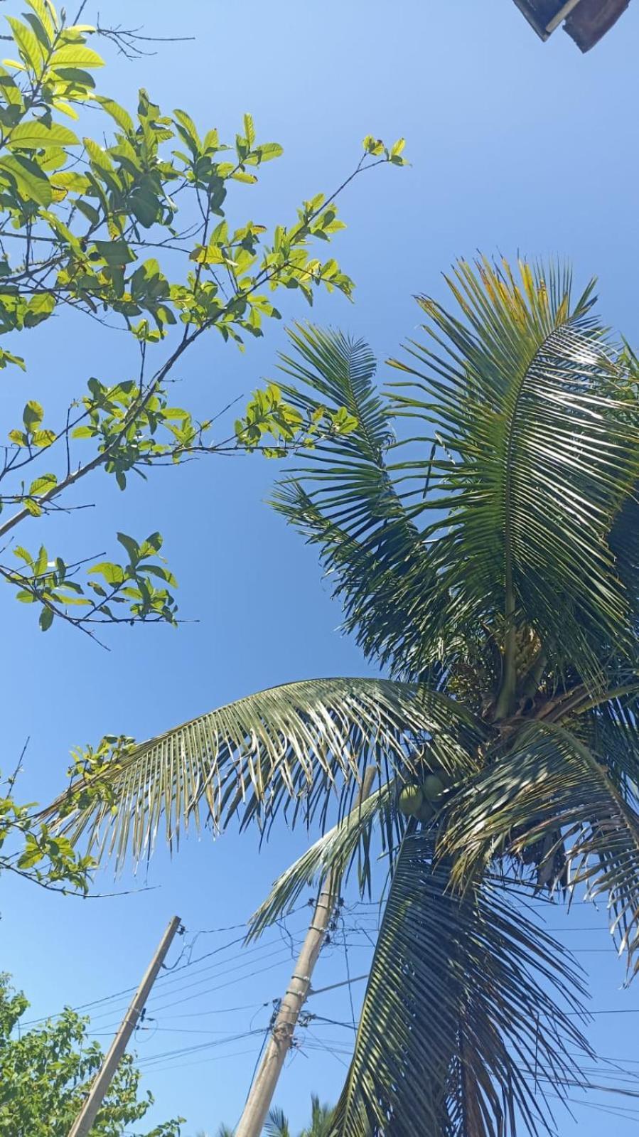 Pousada Astúrias Ilha Comprida Exterior foto